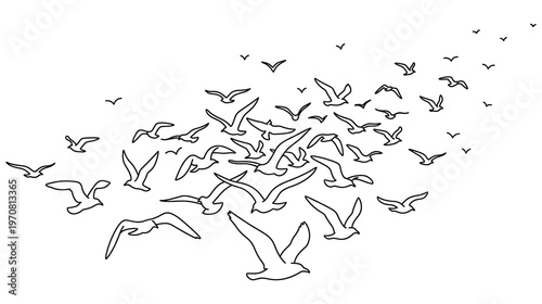 Flock of birds flying in formation vector outline simple black line.
