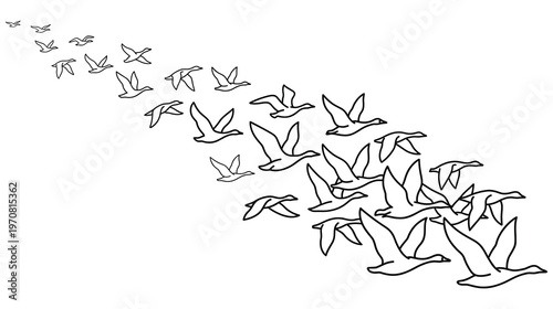 Geese migration flight path vector illustration simple line drawing.