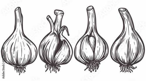 A monochrome illustration of four garlic bulbs with intricate detailed sketching