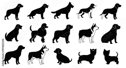 Silhouettes of various dog breeds standing and sitting in different poses
