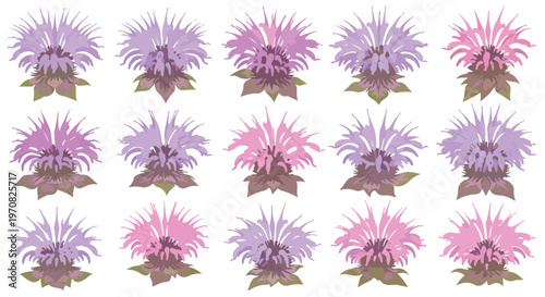 Collection of delicate purple and pink flowers with detailed green leaves arranged in a grid pattern on a white