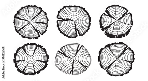 hand drawn, drawn, cross section, tree stump, tree trunk, section, growth rings, annual rings, cut wood, timber industry, hand, cross, tree, cut surface, log ends, trunk, wood texture, aged wood, wood