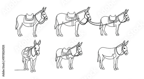 Line art illustration of saddled donkeys in various poses and arrangements