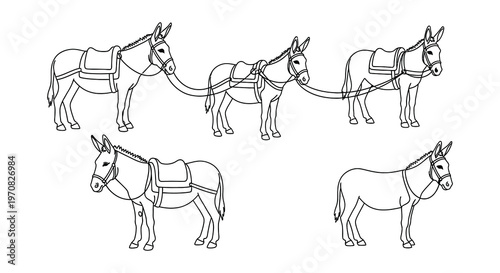Line art illustration of saddled donkeys in various poses and arrangements