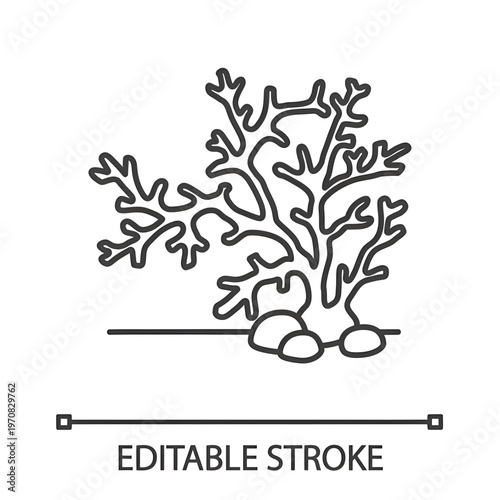 Aquarium plant linear icon. Coral, seaweed. Thin line illustration. Fishbowl decoration. Contour symbol. Vector isolated outline drawing. Editable stroke