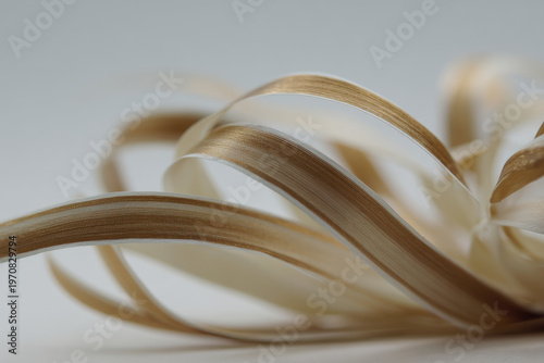 fluffy cat lounges comfortably on cozy sofa accompanied by playful stuffed toy friend