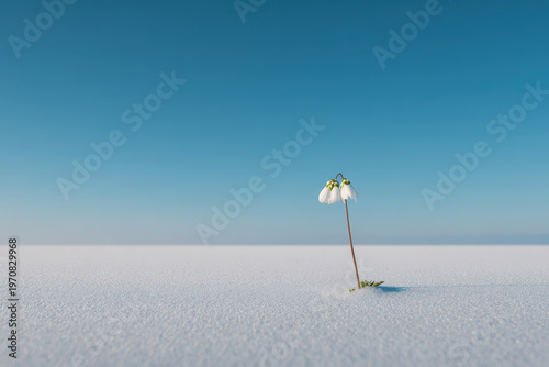 modern educational setting featuring curriculum plan on wall enhanced with ar elements creating engaging atmosphere