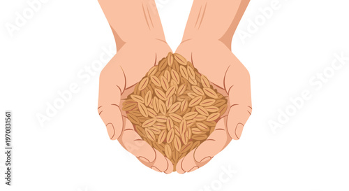 Two light-skinned hands are cupping a pile of light brown, oval-shaped grains against a solid white background.