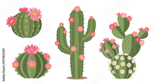 Beautiful collection of different cactus species adorned with vibrant pink and white blossoms in a desert-themed layout.