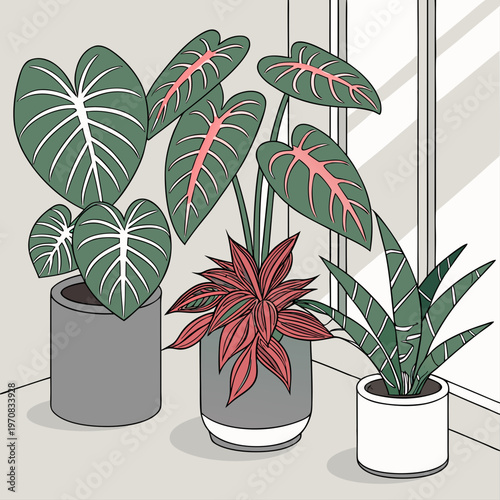 A vector illustration of three potted plants on a windowsill