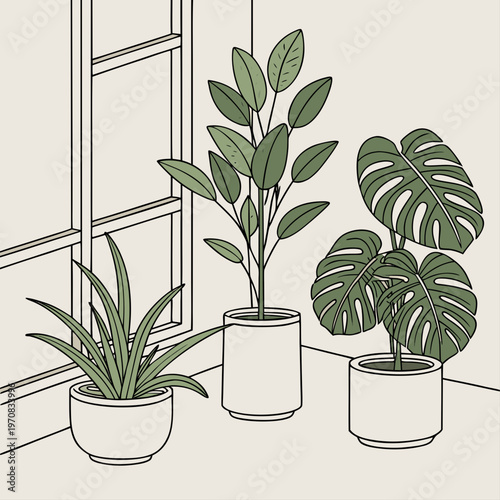 A minimalist vector illustration of three potted plants on a windowsill