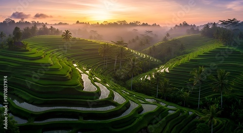 Golden Sunrise Over Misty Tegalalang Rice Terraces
