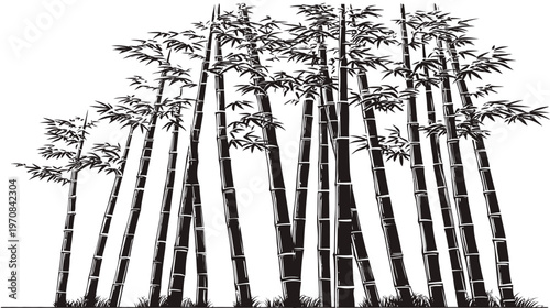 A monochrome illustration showcasing a bamboo forest in a minimalist style against a white background