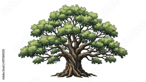 Large Tree with Green Leaves.