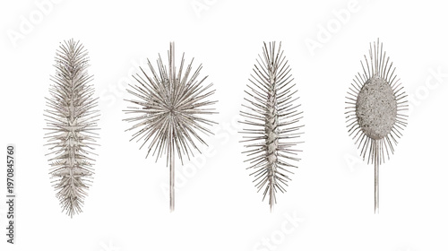 Four stylized illustrations of plants or similar natural forms with spiky elements, on white background