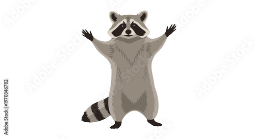 Cute raccoon standing on its hind legs with its front paws raised in a happy and friendly greeting on a white background.