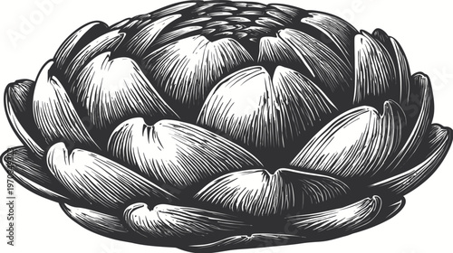Intricate black and white illustration of a stylized artichoke with detailed petals and textures