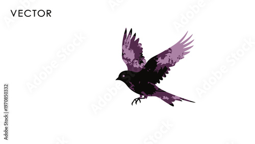 Black Bird in Flight.