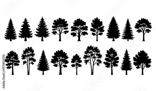 Forest tree silhouette collection vector with pine oak and birch trees for nature landscape design