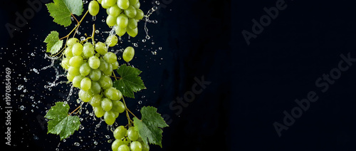Falling green grapes with juice splash and droplets isolated against black bakcground with copy space