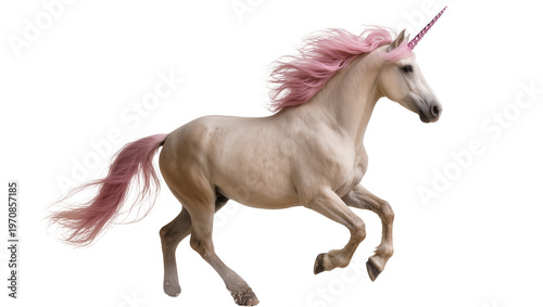 Schilderij op canvas Shimmering silver unicorn galloping forward, displaying pink mane and tail