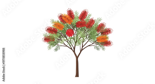 Stylized Callistemon Bottlebrush Tree Illustration