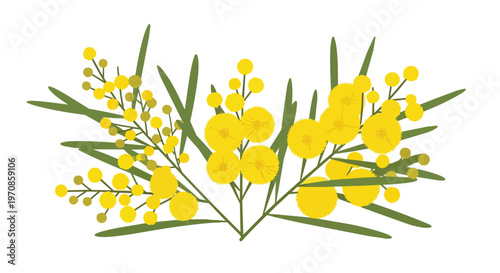 Minimalist Illustration of Yellow Mimosa Flowers and Green Leaves