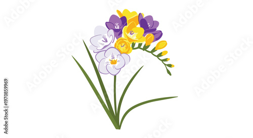 Watercolor Illustration of Colorful Freesia Flowers with Green Leaves