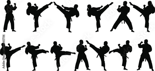 Set of martial arts silhouettes performing high kicks and combat stances, showcasing karate taekwondo fighters training, action poses and dynamic self defense techniques