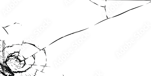 A high contrast close up of a shattered glass surface showing intricate web like fracture lines isolated on white background, Vector, illustration