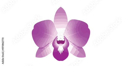 Stylized Purple Orchid Flower Vector Illustration on White Background