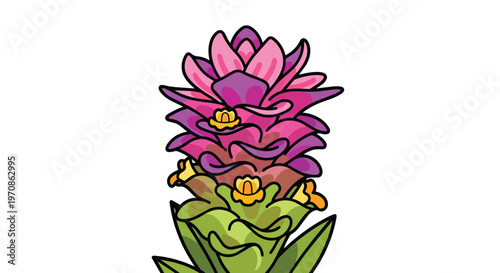 Vibrant Tropical Curcuma Flower Illustration