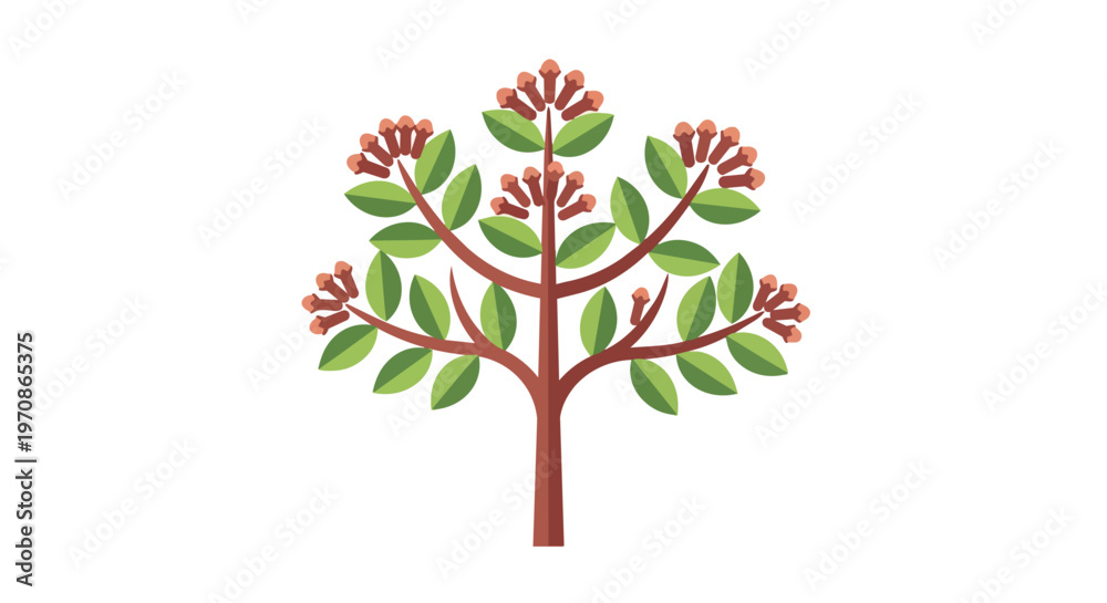 Obraz premium Clove Tree Illustration with Green Leaves and Aromatic Flower Buds