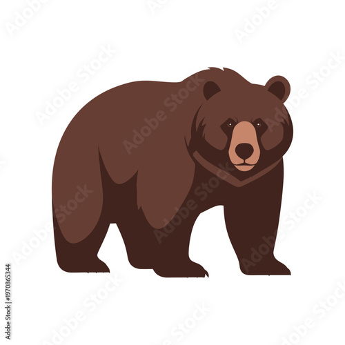 Brown bear standing on ground.