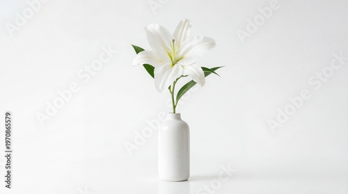 Single White Lily Flower in Elegant Minimalist Ceramic Vase on White