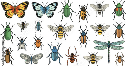 Detailed Colorful Insect Collection Featuring Butterflies Beetles Bees Dragonflies and Various Bugs in Hand Drawn Realistic Vector Illustration Set