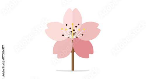 Minimalist Vector Illustration of a Single Pink Cherry Blossom Flower