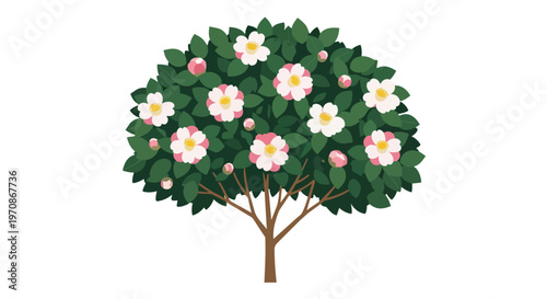 Vector illustration of a blooming camellia tree with pink and white flowers