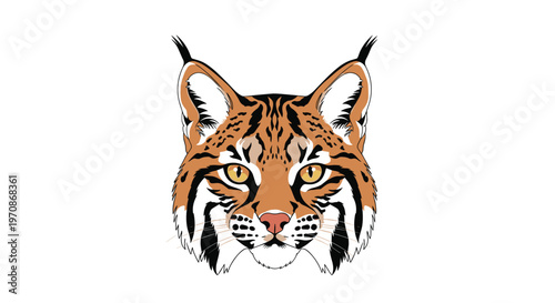 An illustrated lynx head with orange-brown fur and black stripes is depicted looking forward on a plain white background.