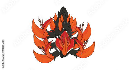 Butea Monosperma Flame of the Forest Flower Illustration