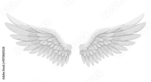 A pair of symmetrical white feathered wings, detailed with individual plumage, are spread wide against a pristine white background.