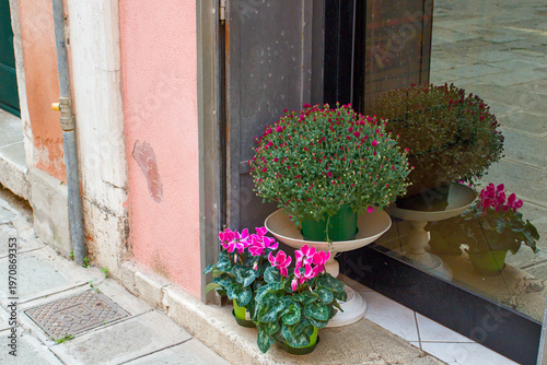 Vibrant pink cyclamens and round purple chrysanthemums decorate a weathered stone doorway. These beautiful flowers provide a striking contrast against the aged texture of the pink wall.