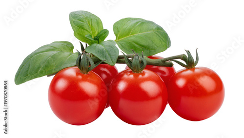 Canvas Print Vibrant red cherry tomatoes, accented with lush green basil leaves and stems