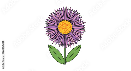 Stylized Purple Aster Flower Illustration with Green Leaves
