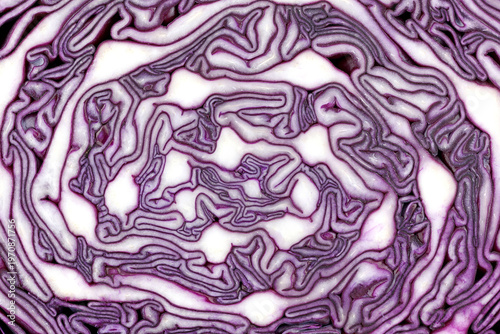 Cross-section of a red cabbage, abstract texture of a purple cabbage, food background