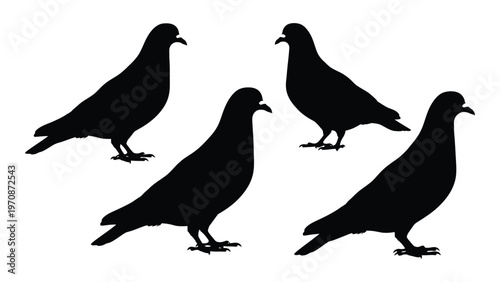 Four black silhouettes of pigeons in varying poses against a white background