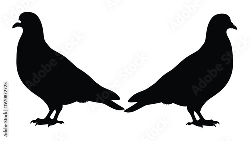 Two pigeons facing each other in a symmetrical black silhouette