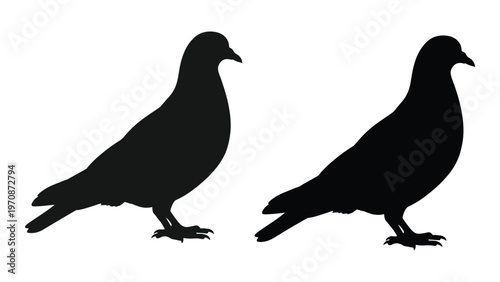 Two black silhouettes of pigeons perched with subtle variations in posture
