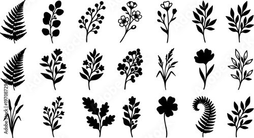 Set of black plant silhouettes featuring vector floral elements like leaves, branches, and palm trees for nature-inspired art, vintage decorations, and seamless pattern design illustrations