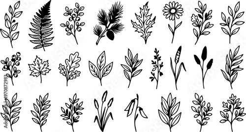 Vintage seamless pattern illustration featuring a decorative set of wheat ears and floral nature elements with a summer leaf design for textile wallpaper ornament